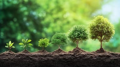 Featured image for 5 Ways a Website Can Boost Your Small Business's Sales and Growth